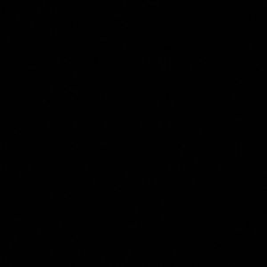 Meet your Posher, Sylvia